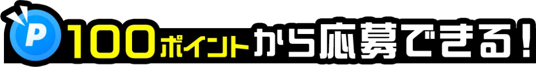 100ポイントから応募できる！
